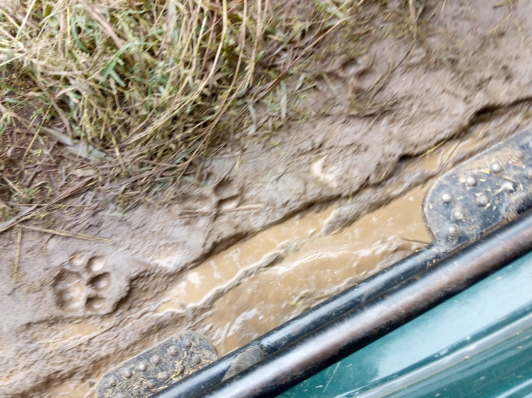 MelGhat Tiger Reserve景点图片