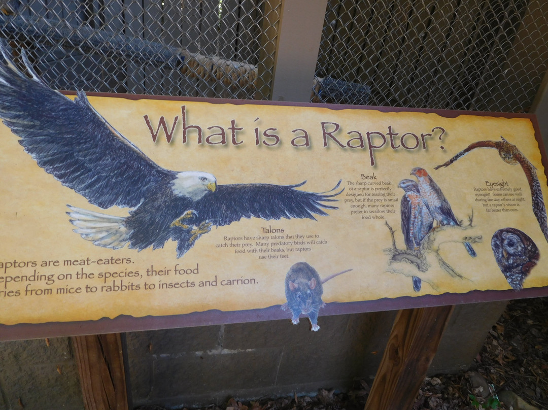 Carolina Raptor Center景点图片