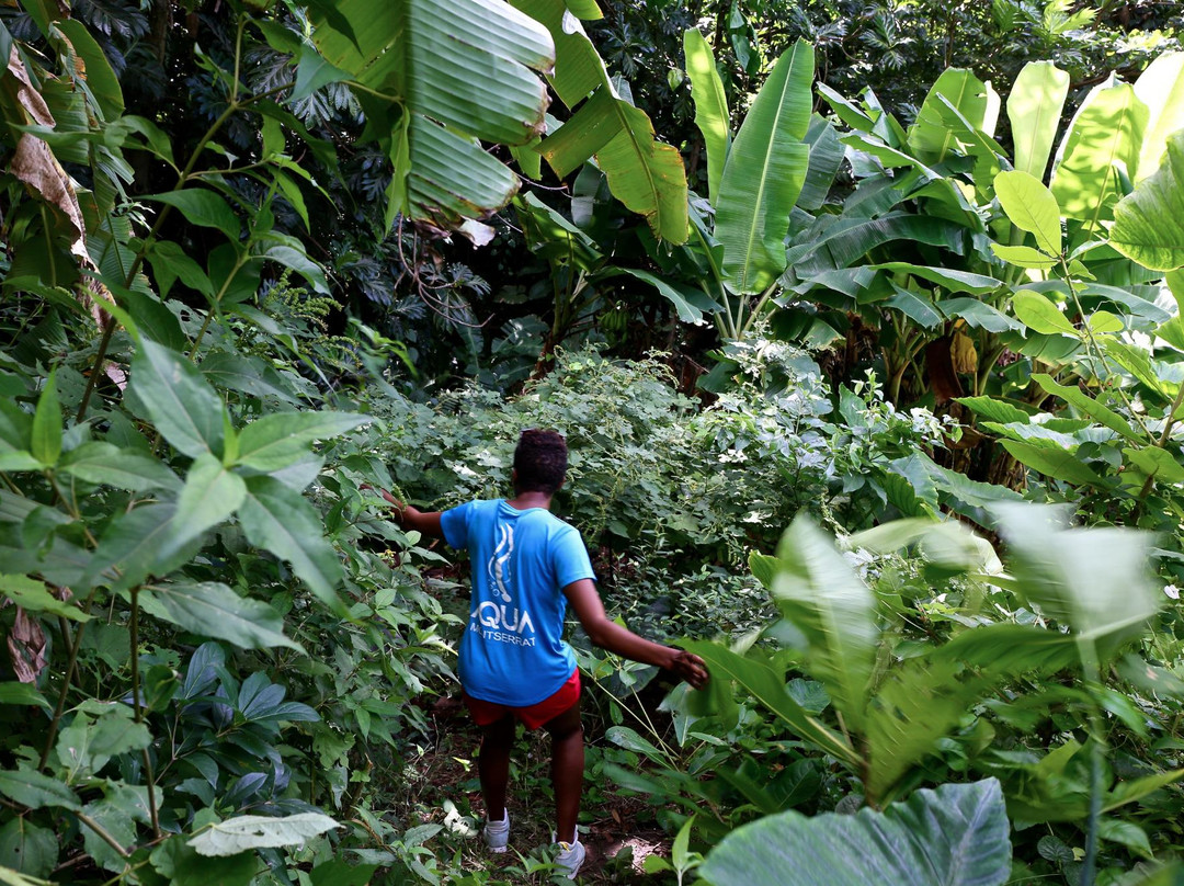 Aqua Montserrat-Little Bay必去景点
