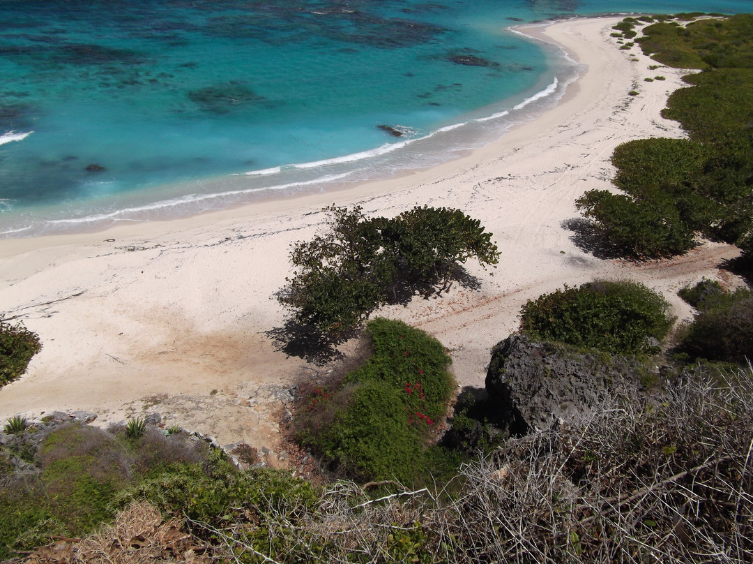 Barbuda Express-圣 约翰必去景点