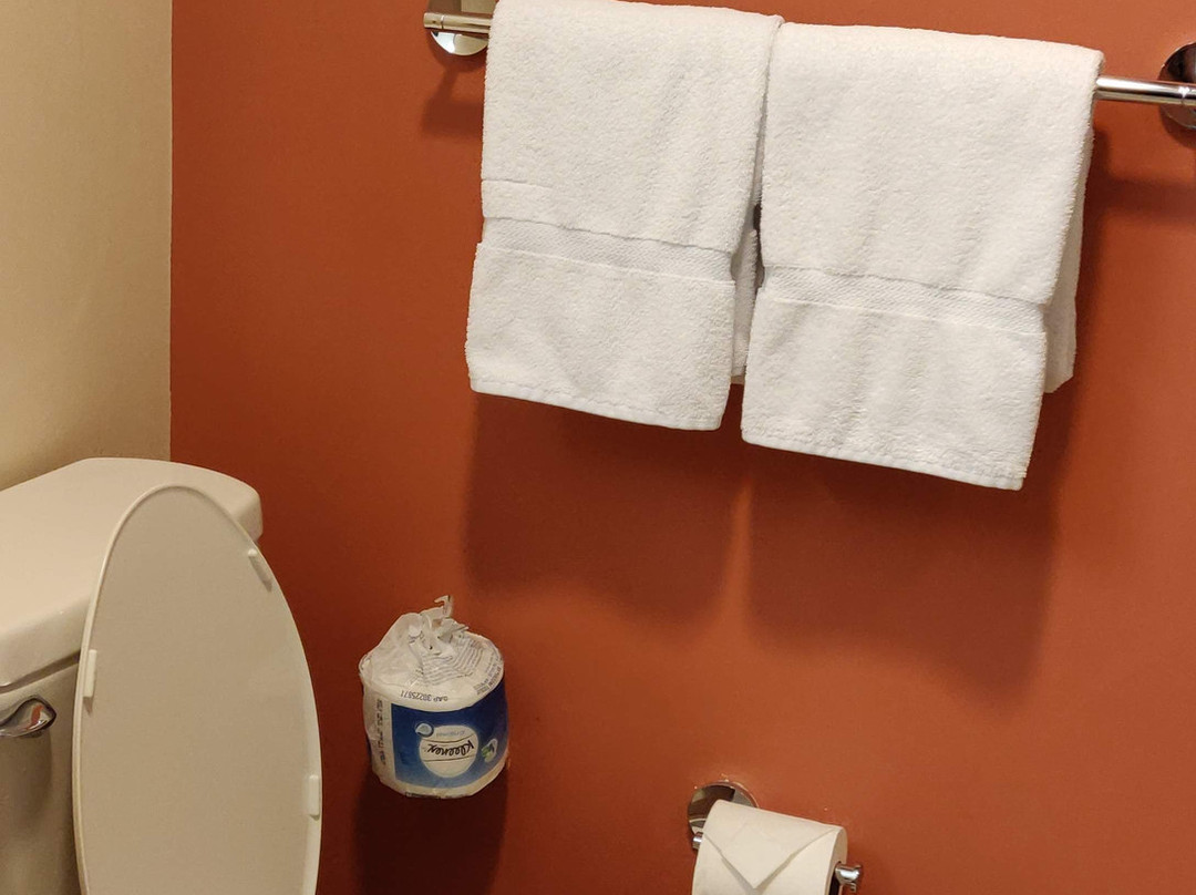 阿拉胡埃拉圣荷西机场万怡酒店主图