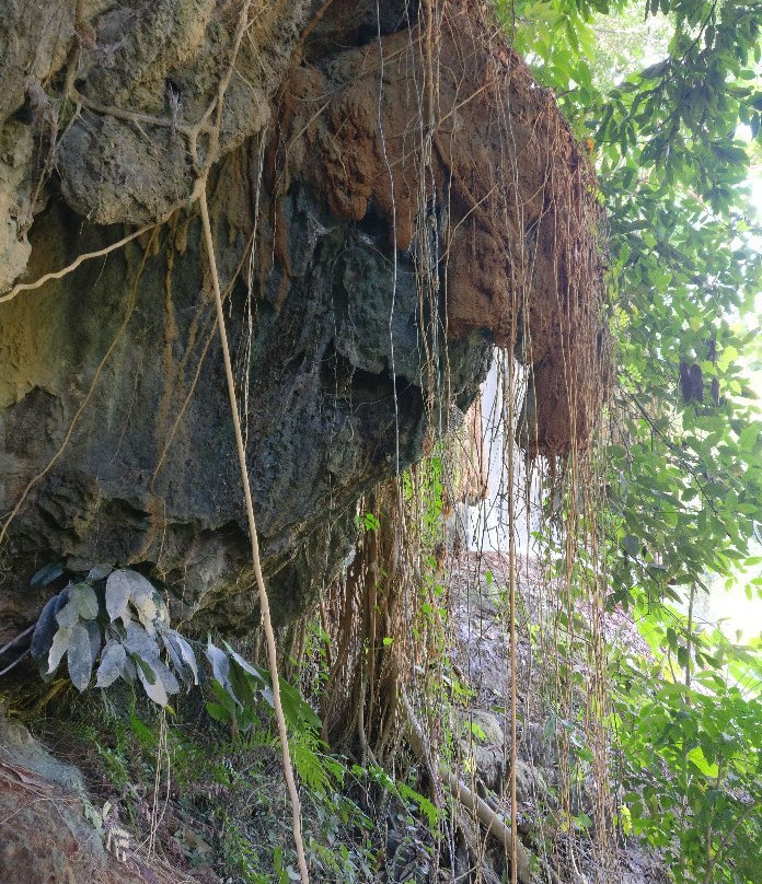 Phu Sang National Park景点图片