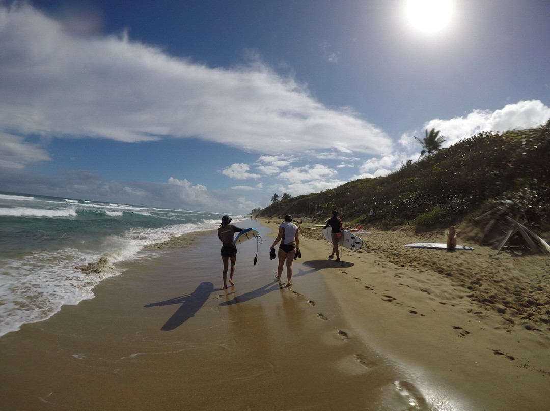 Kele Surf School-喀巴里特必去景点