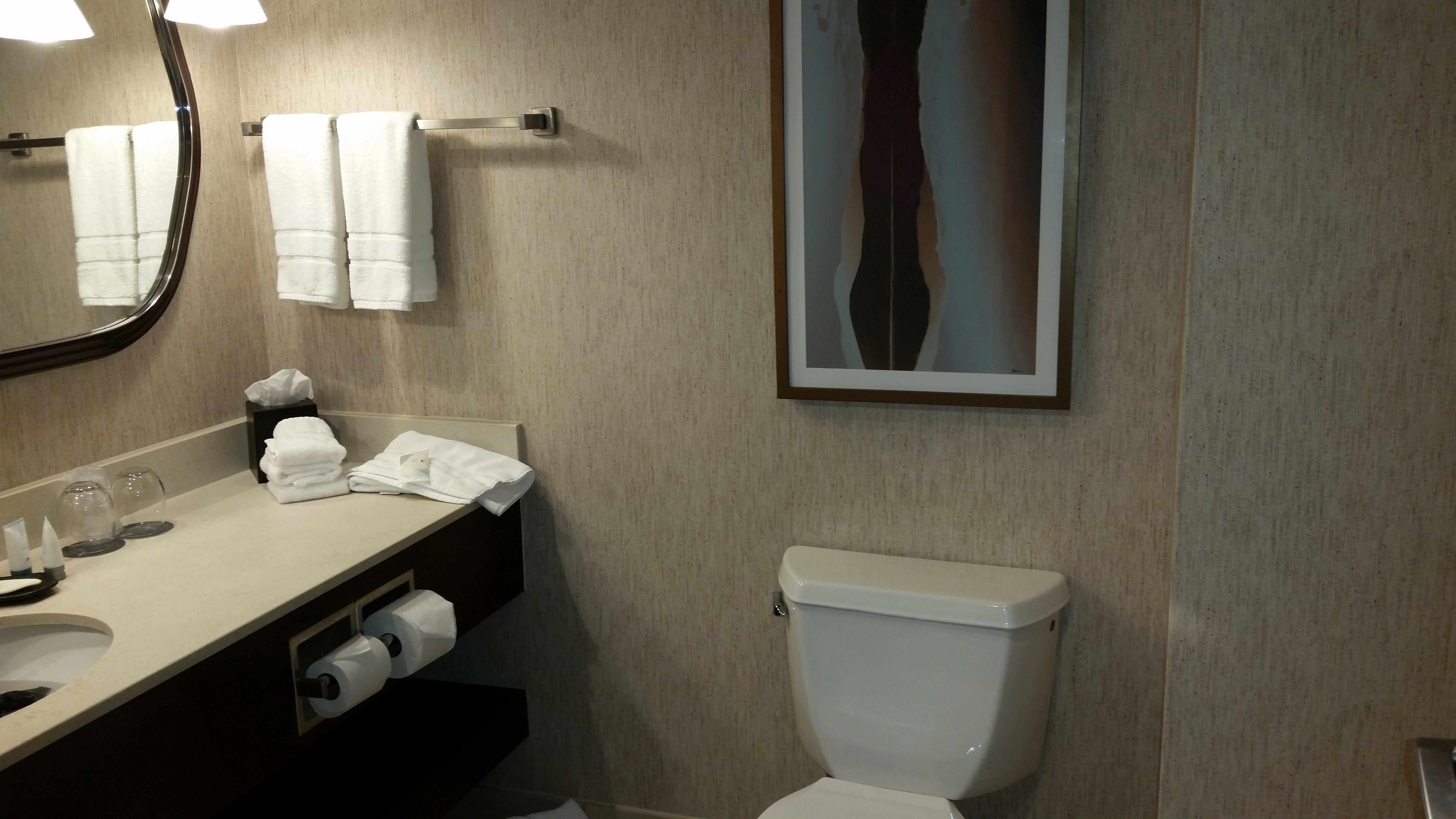 The Westin Southfield Detroit-浴室