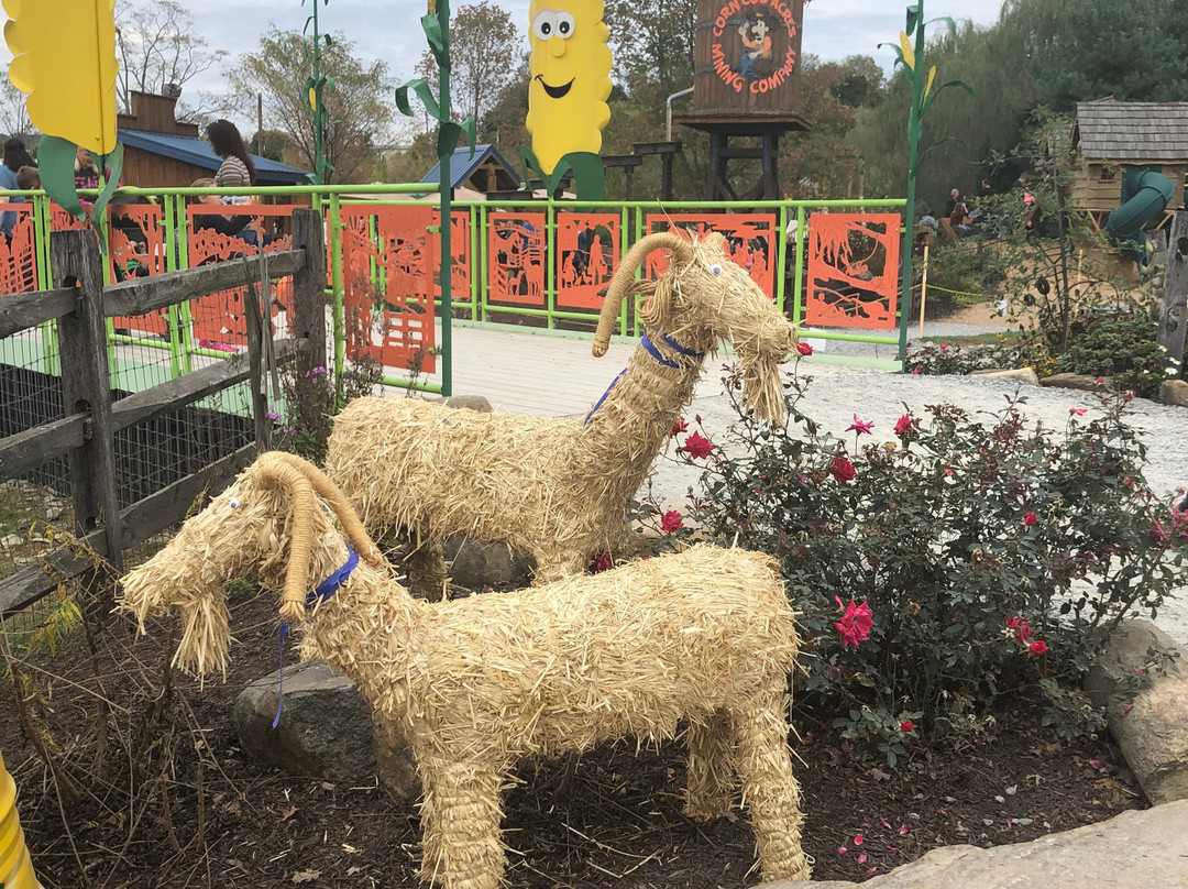 Corn Cob Acres Field of Fun-Mountville必去景点