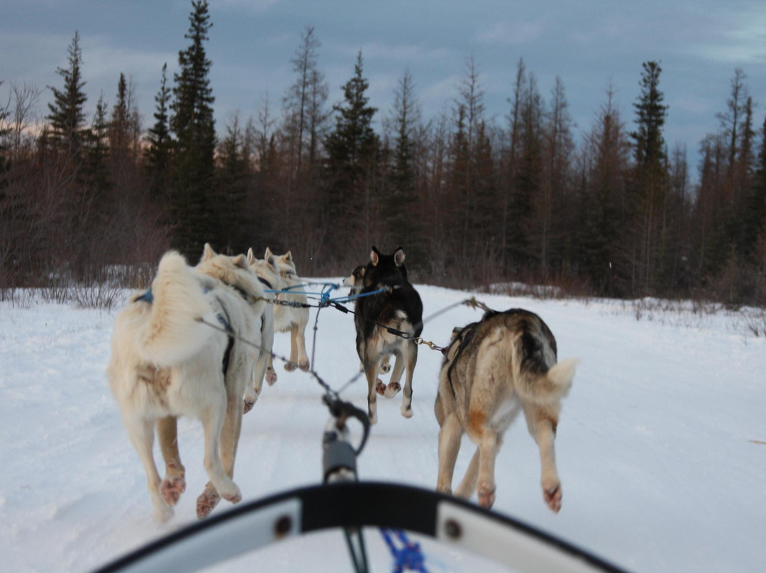 Blue Sky Expeditions-丘吉尔必去景点