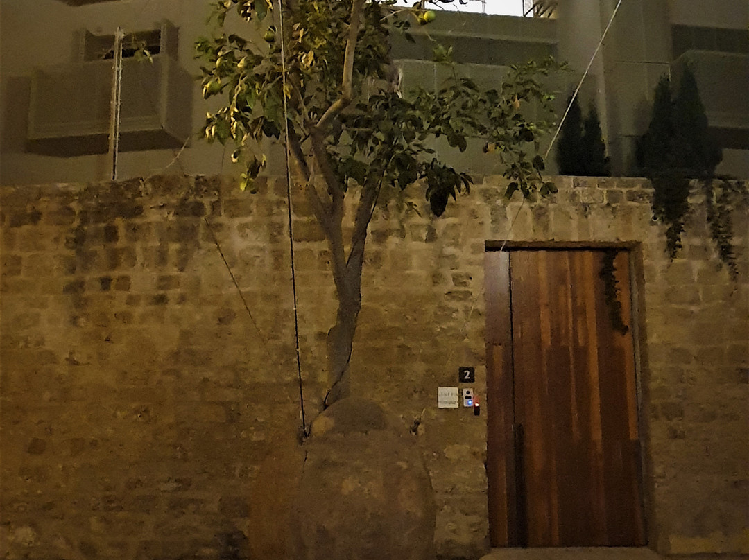 Suspended Orange Tree景点图片