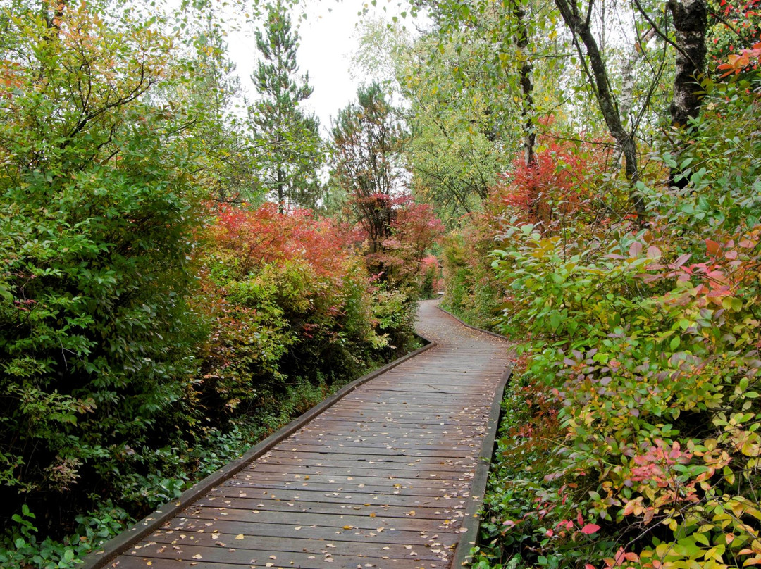 Richmond Nature Park景点图片