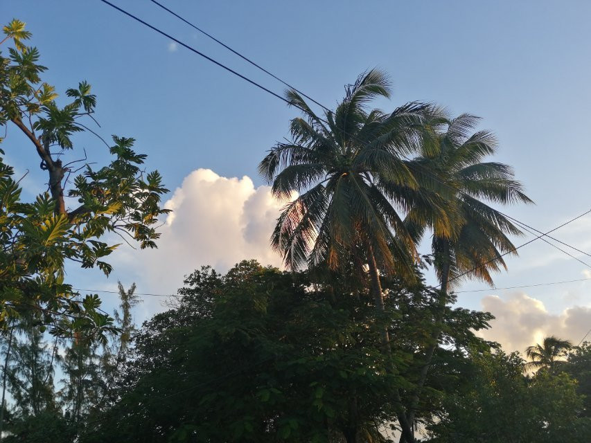 Beach Guest-house Cleverdale主图