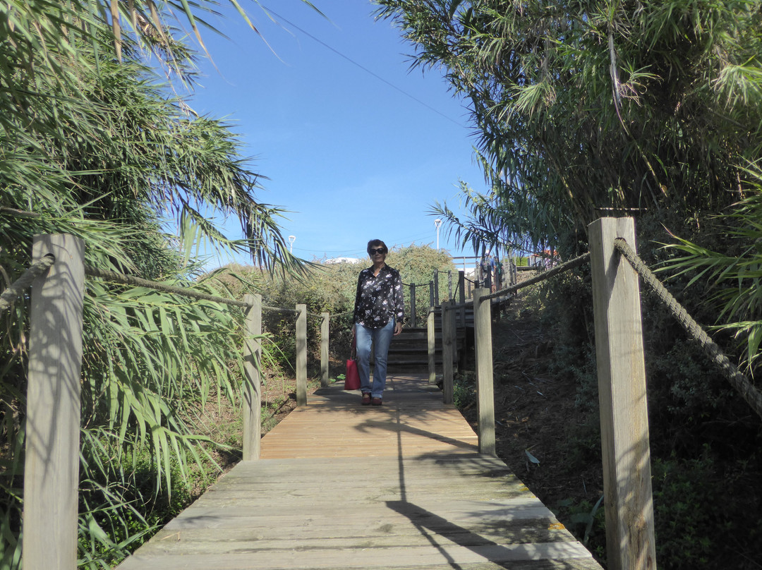 Praia da Azenha do Mar景点图片