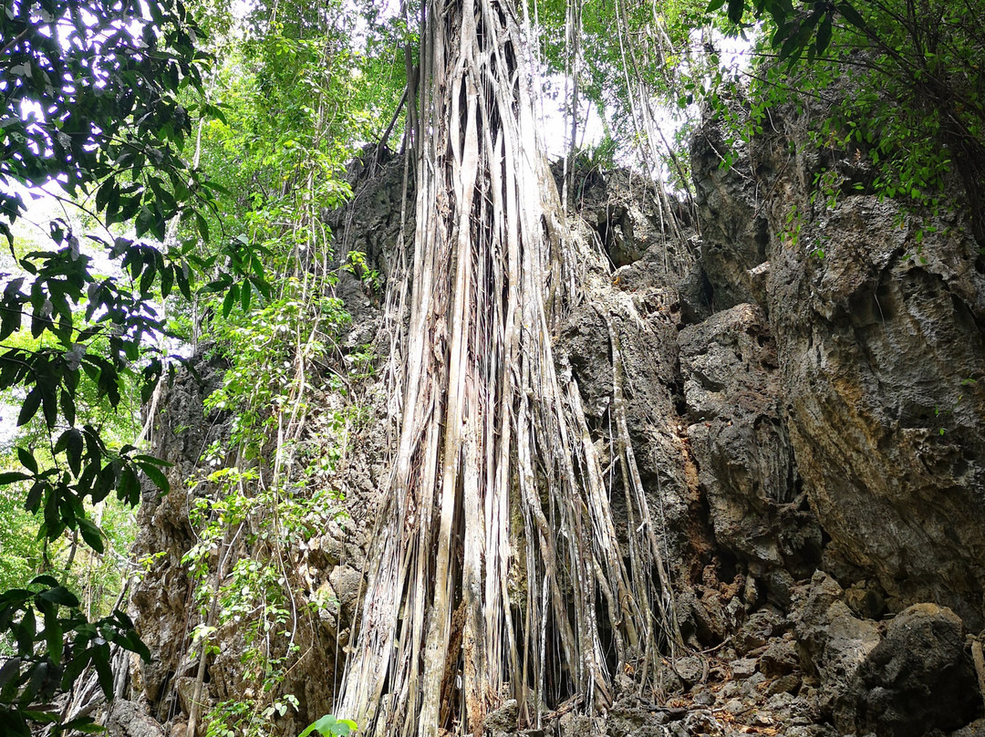 Territory Day Park-圣诞岛必去景点