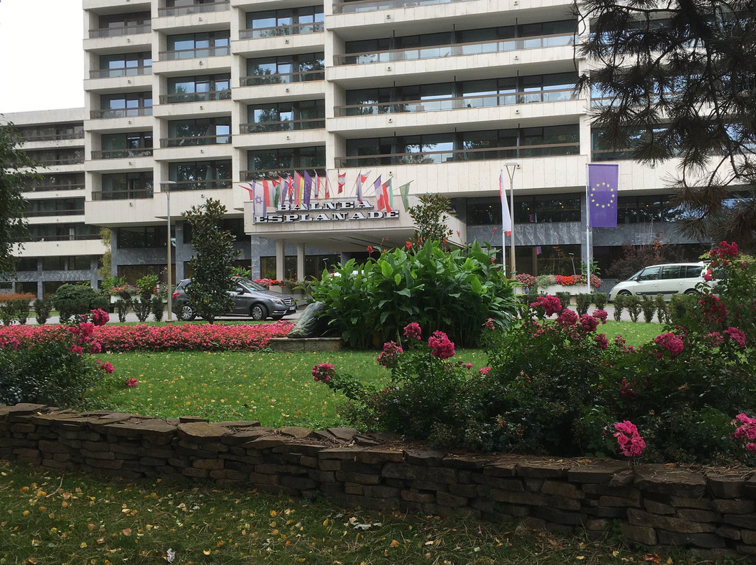 Ensana  Esplanade Health Spa主图