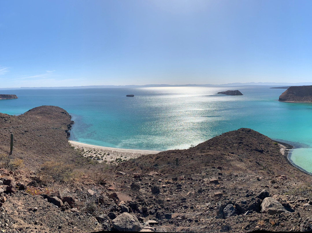 The Baja Whale Watching-拉巴斯必去景点