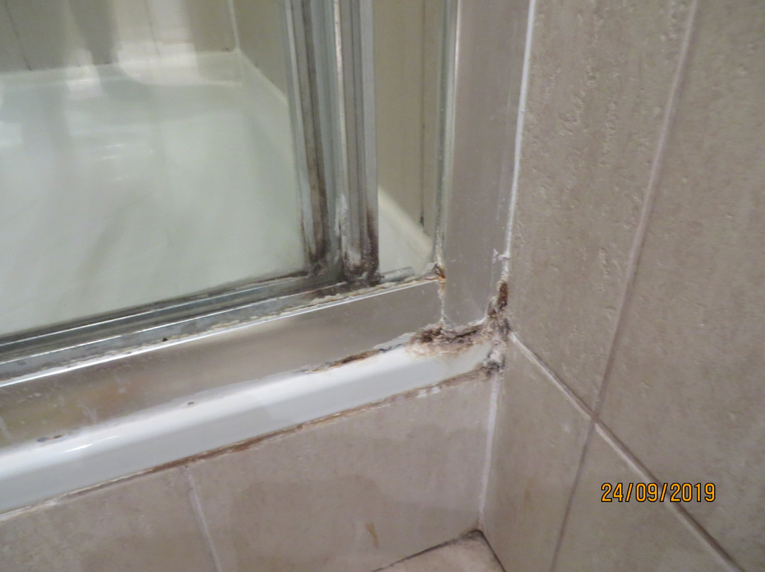 Rezydencja Waksman主图