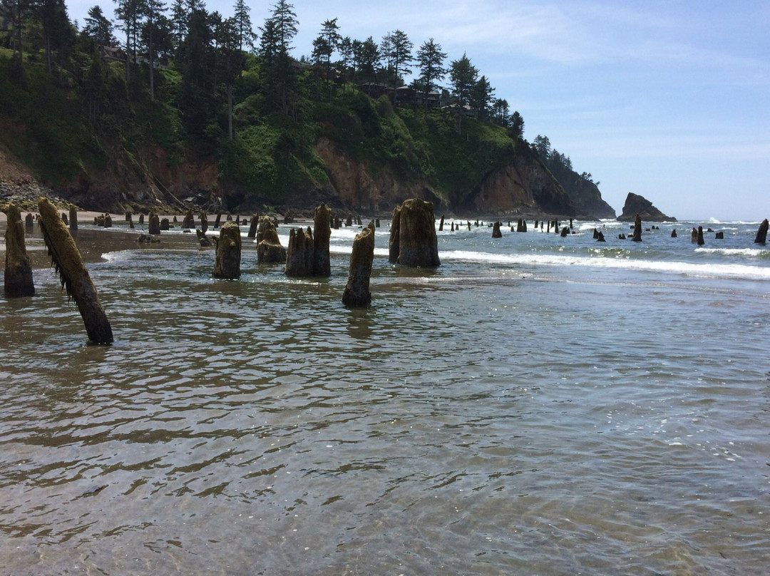 Neskowin旅游景点-Proposal Rock