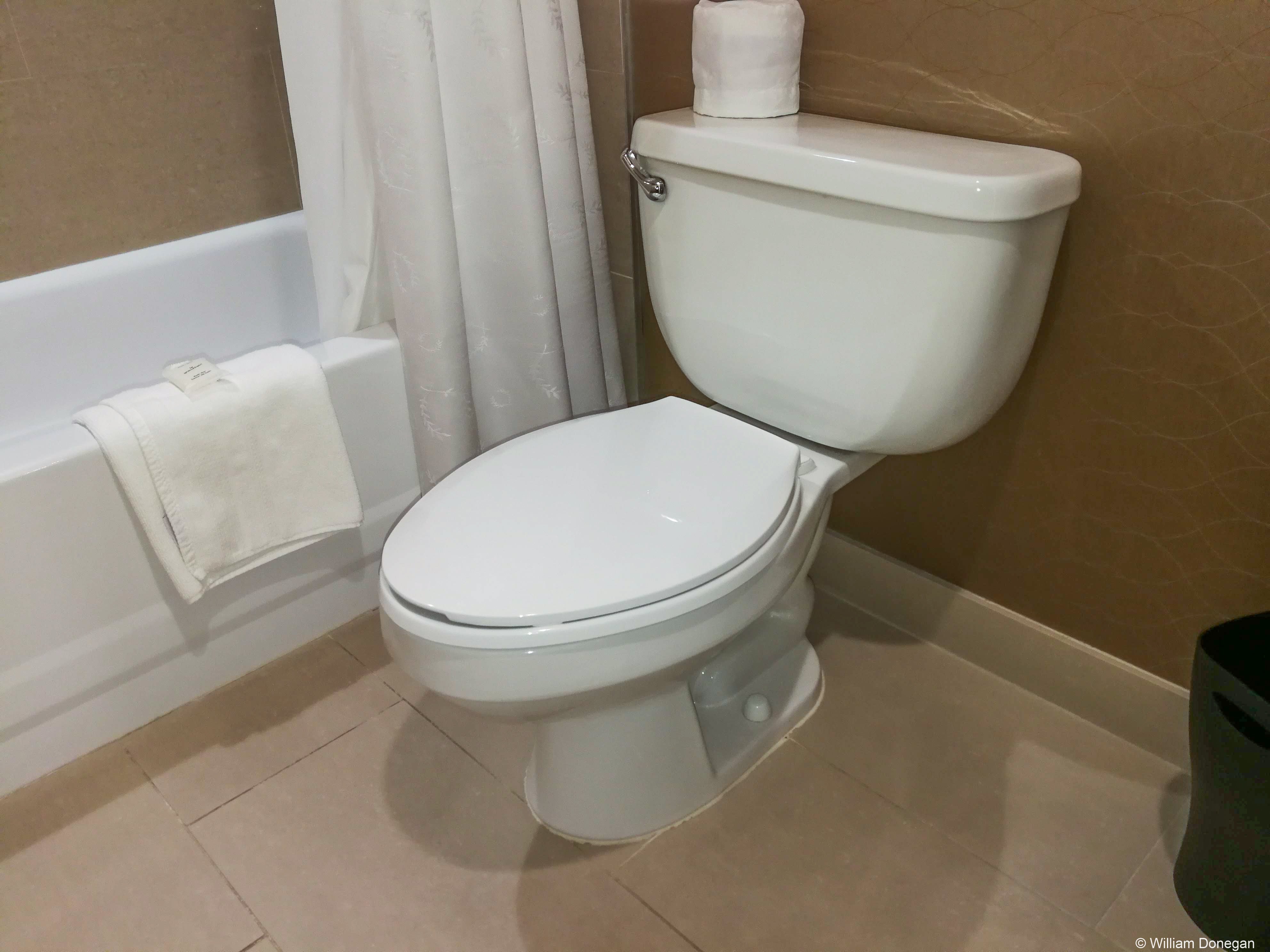 Sheraton Suites Calgary Eau Claire-浴室