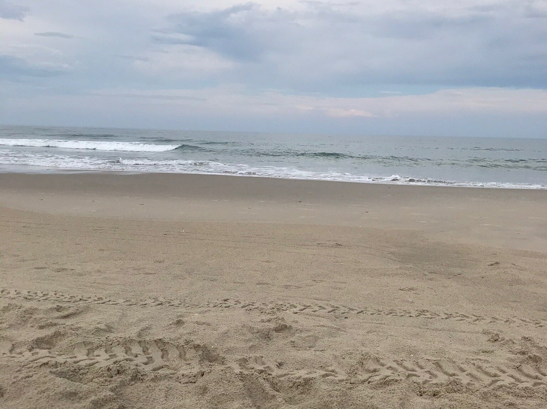 Obx Fitcations景点图片