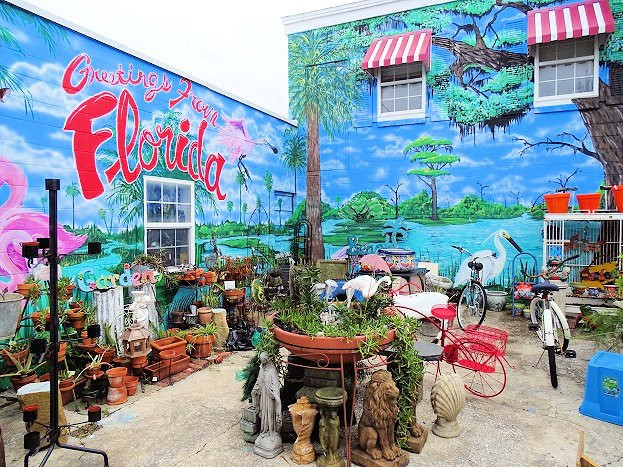 Island Treasures-费尔南迪纳岛必去景点