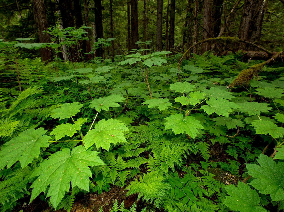 Jj pate-胡纳必去景点