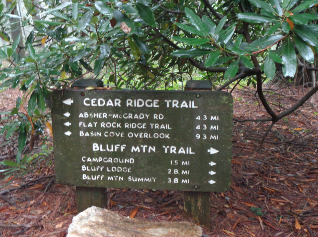 Doughton Park Campground and National Recreation Area景点图片