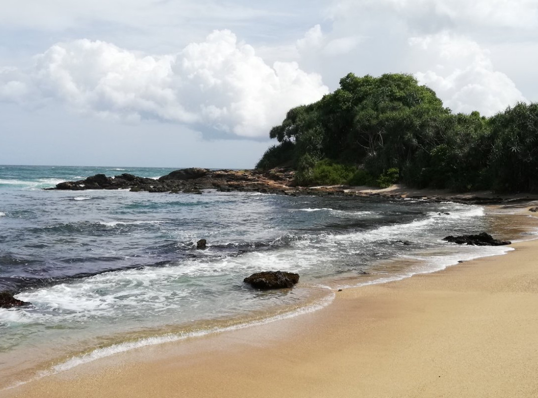 Turtles View Resort主图