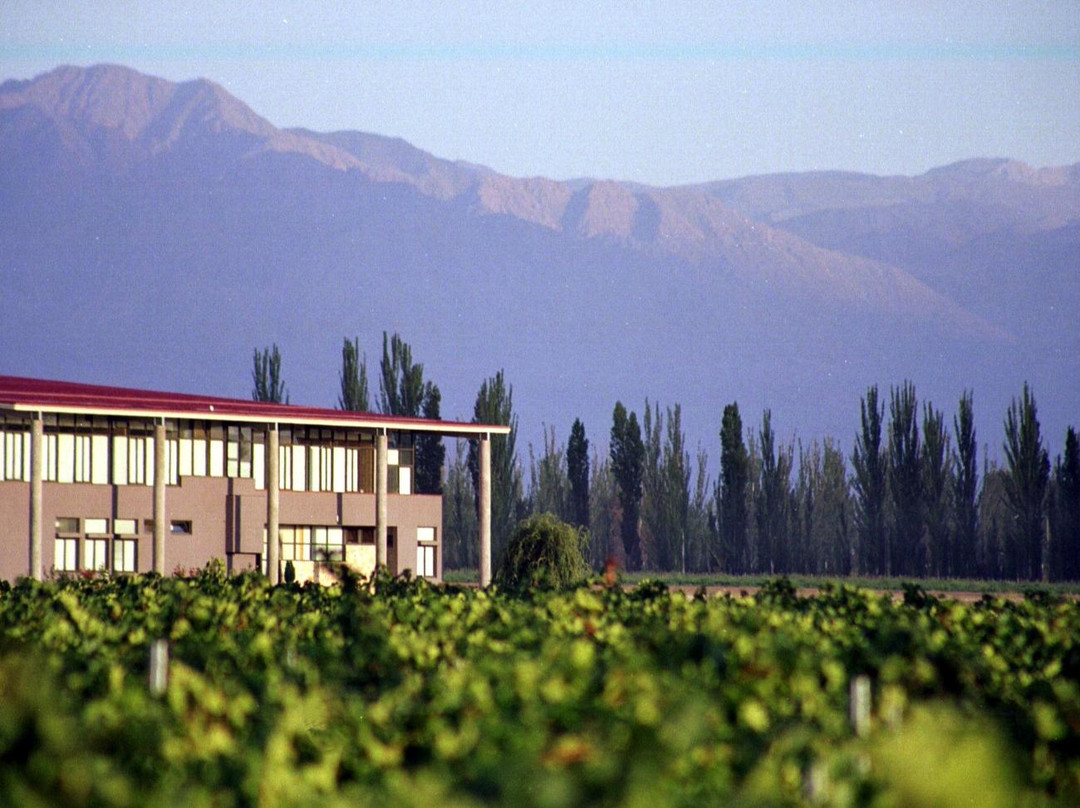 Tapiz Winery景点图片