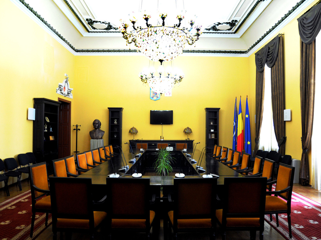 City Hall Botosani景点图片