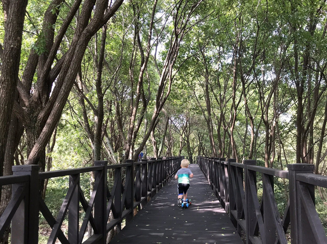 Gwangjuho Lake Eco Park-光州必去景点