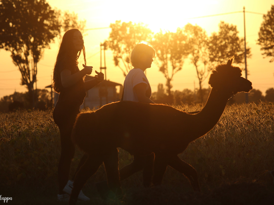 Corte Benetti-罗维戈必去景点