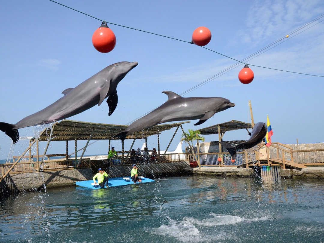 Rodadero Sea Aquarium and Museum-圣玛尔塔必去景点