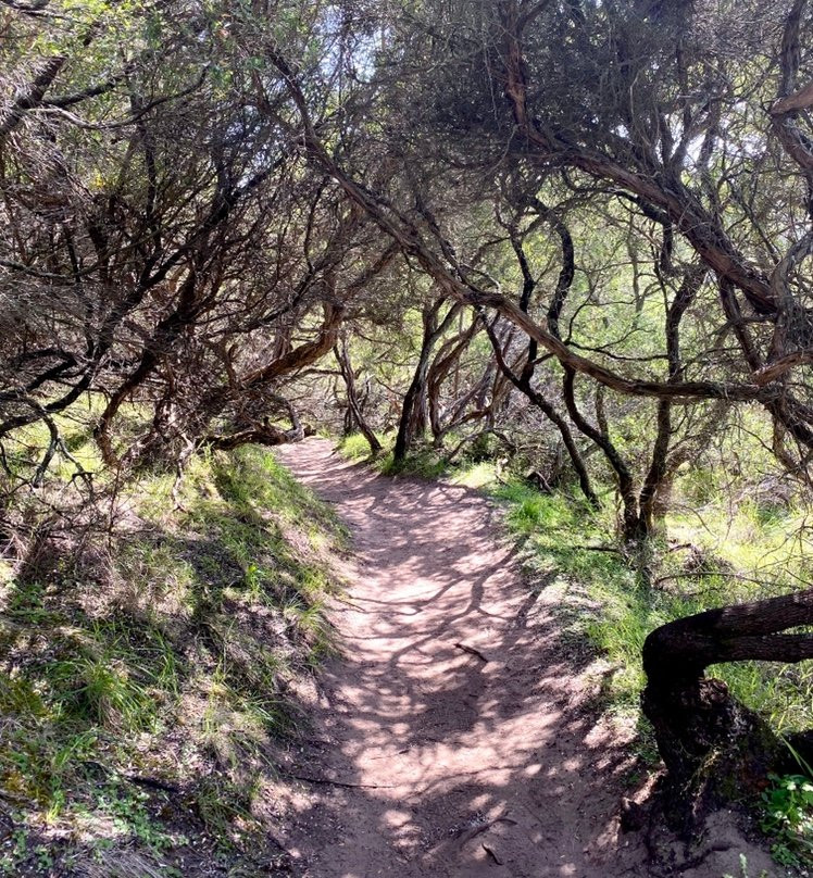 The Two Bays Walking Track景点图片