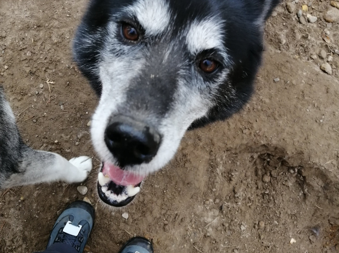 Routa Travel-Kuhmo必去景点