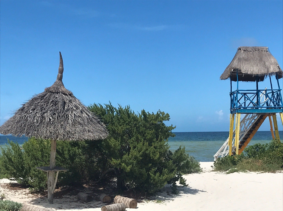 Alphakite Kitesurf School-Progreso必去景点