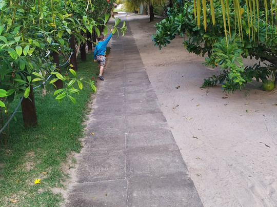 Village Miramar主图