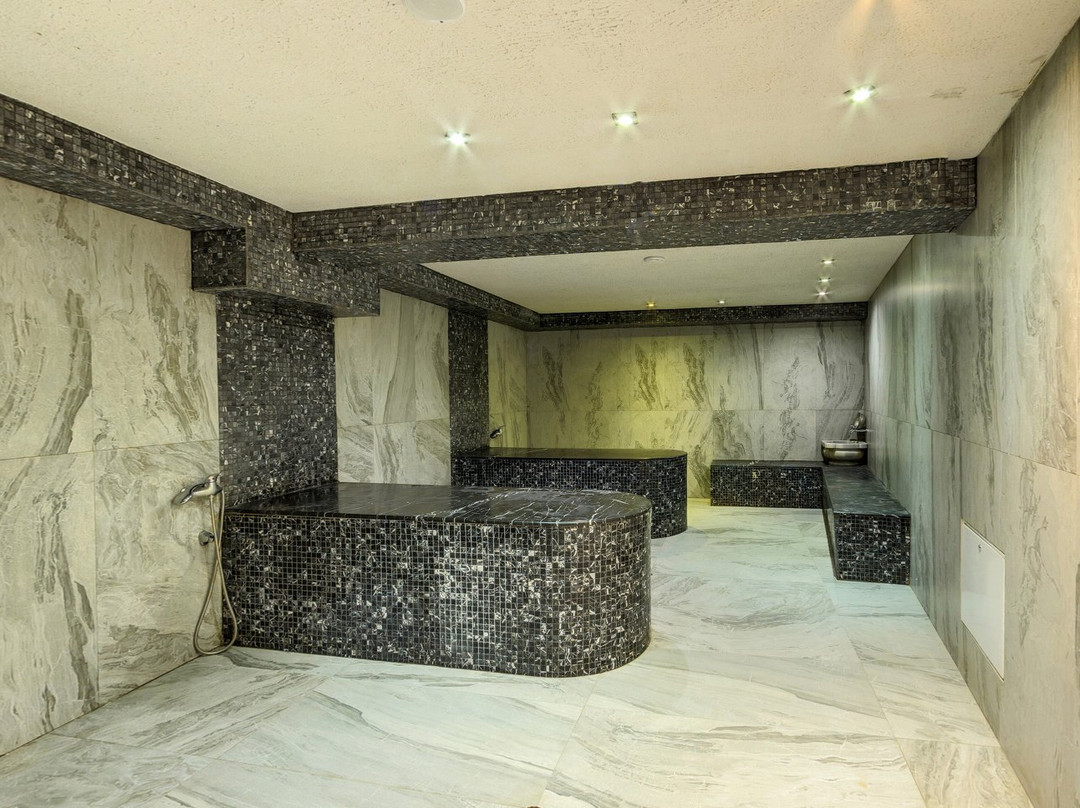 Royal Spa Hotel主图