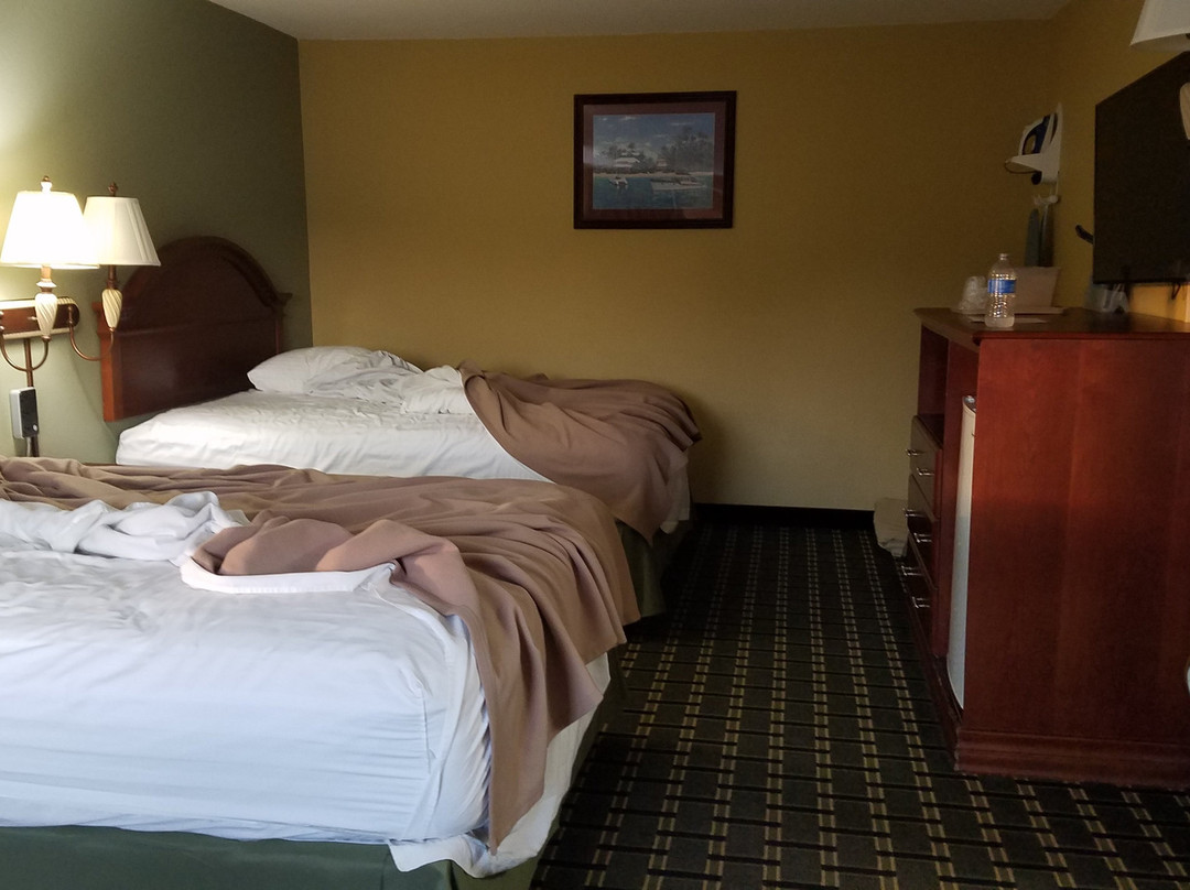 Relax Inn & Suites主图