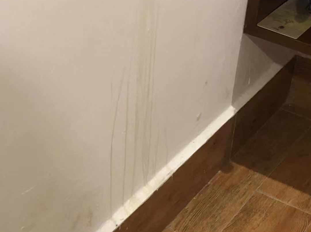 新山中心贝罗酒店主图