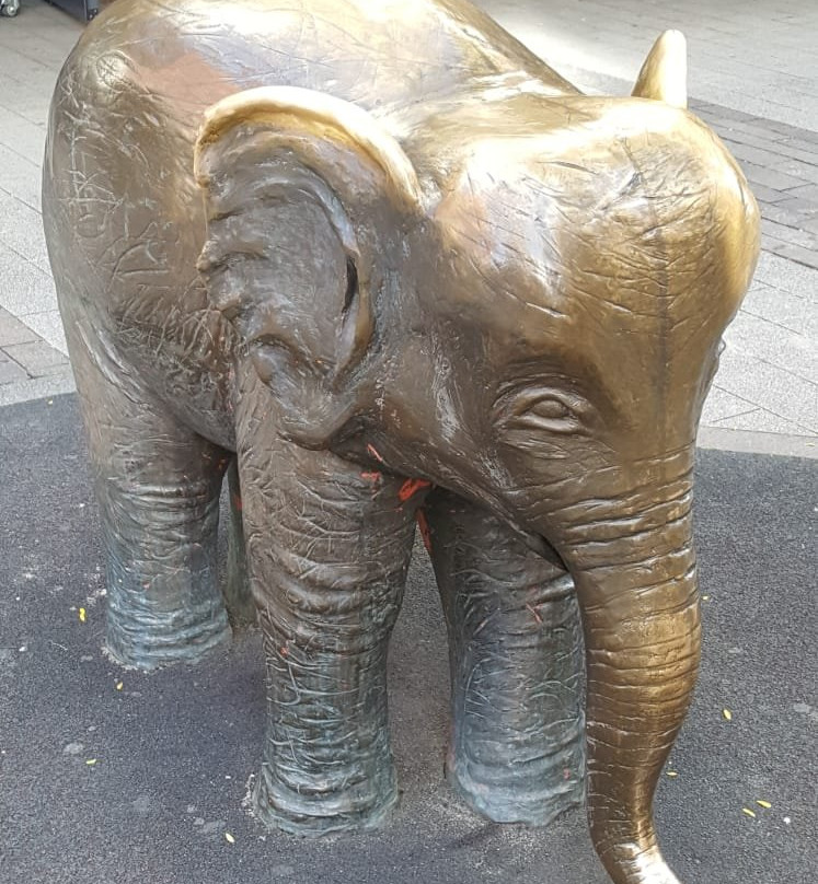 Bronzeelefant "Tuffi"景点图片