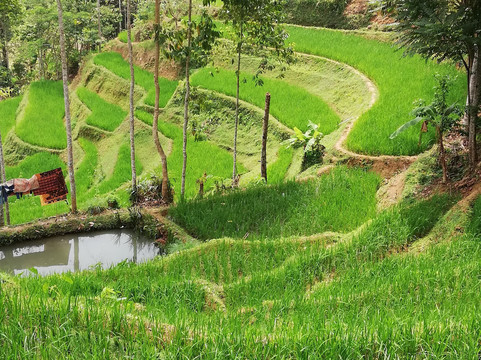 Umien Moritz Tour-万隆必去景点