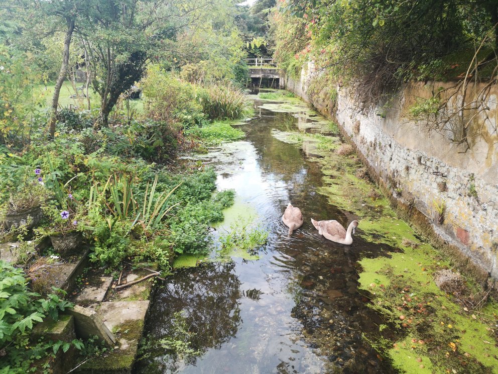 Mill House-官方