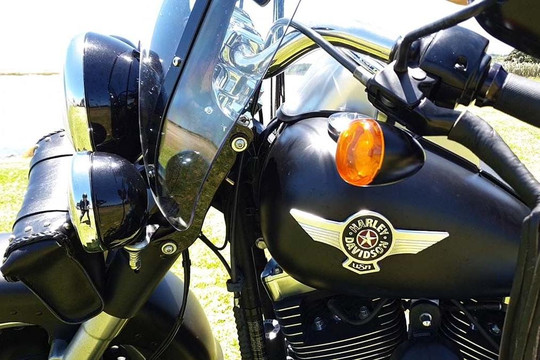 LoCol Rides-陶兰加必去景点