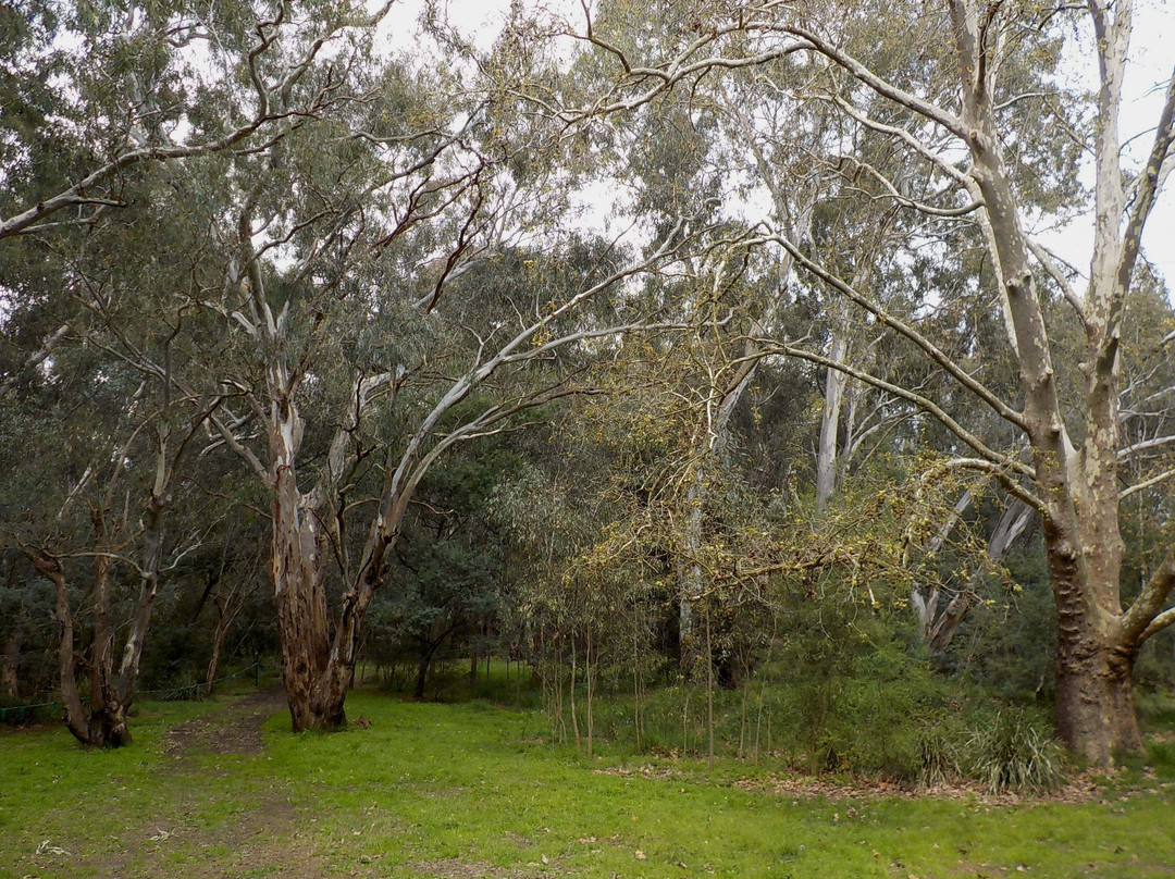 Alphington Wetlands景点图片