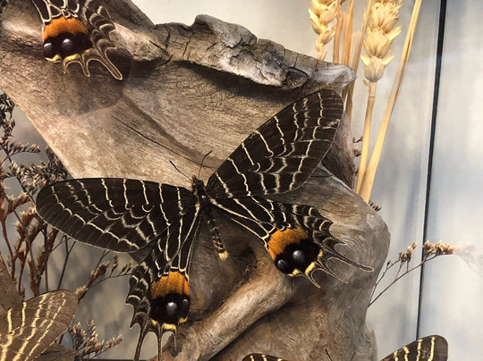 Maine Art Glass-Lisbon Falls必去景点