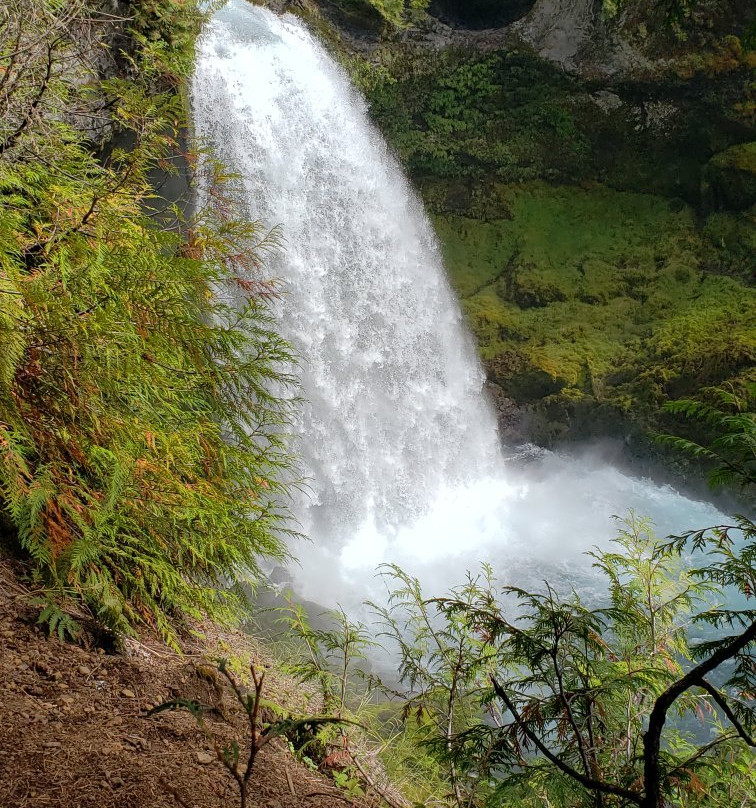 Sahalie and Koosah Falls景点图片