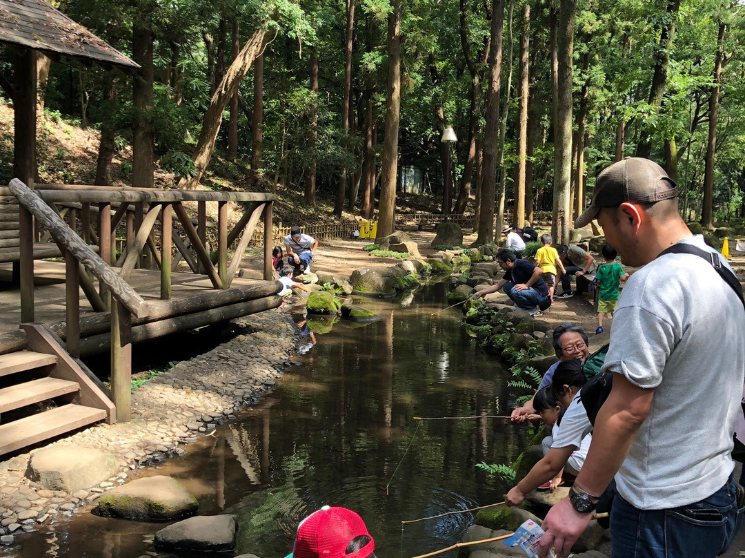 Ichikawa City Zoo-市川市必去景点