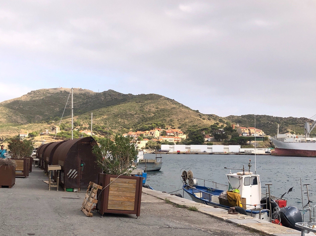 Les Poissonneries de la Côte Catalane-Port-Vendres必去景点