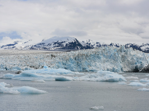 Stan Stephens Glacier & Wildlife Cruises-瓦尔迪兹必去景点
