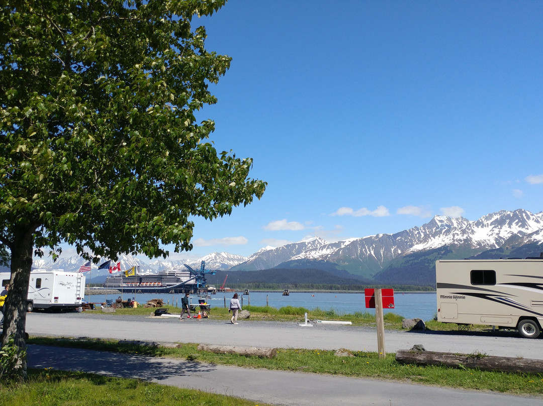 Seward Boat Harbor景点图片