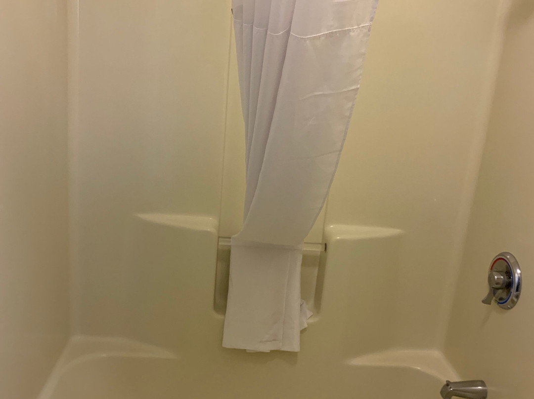 Baymont by Wyndham Ozark主图