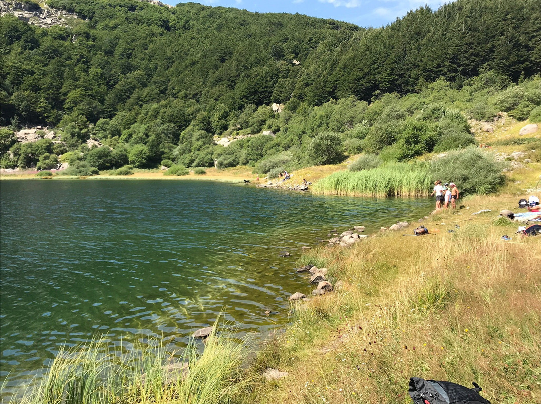 Lago Verde景点图片